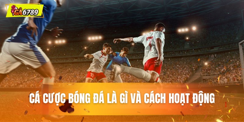 Cá cược bóng đá là gì và cách hoạt động Cá cược bóng đá là gì và cách hoạt động