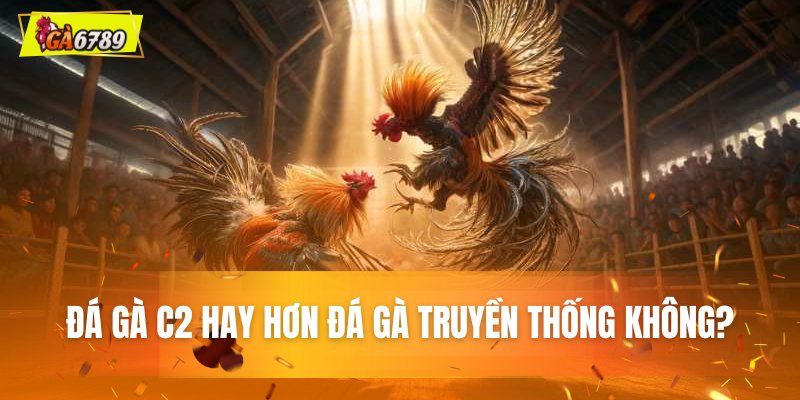 Đá gà C2 là gì? Hay hơn đá gà truyền thống không? Đá gà C2 là gì? Hay hơn đá gà truyền thống không?