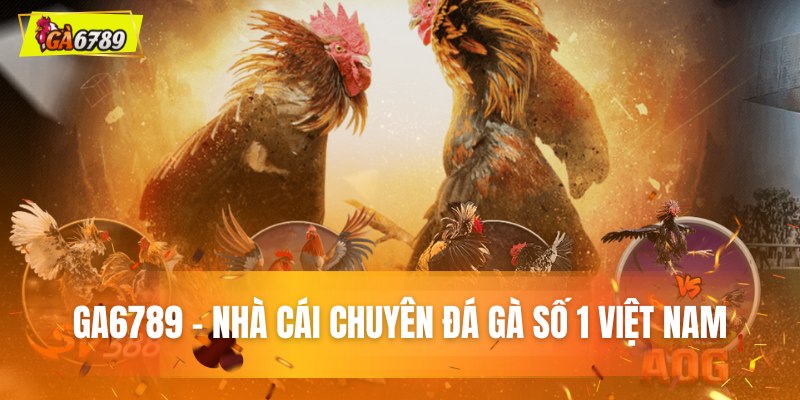 Ga6789 - Nhà Cái Cá Độ Đá Gà 6789, Link Truy Cập Ga6789 6 Tổng quan về thương hiệu GA6789 hàng đầu