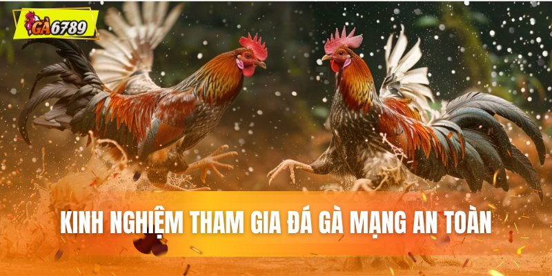 Bí quyết tham gia đá gà mạng an toàn Bí quyết tham gia đá gà mạng an toàn