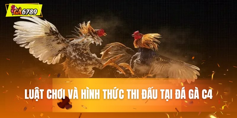Luật chơi và hình thức thi đấu tại đá gà C4 Luật chơi và hình thức thi đấu tại đá gà C4