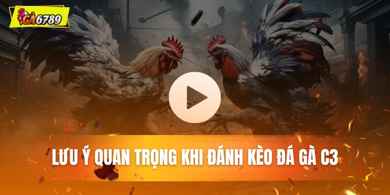 Lưu ý quan trọng khi đánh kèo đá gà C3 Lưu ý quan trọng khi đánh kèo đá gà C3