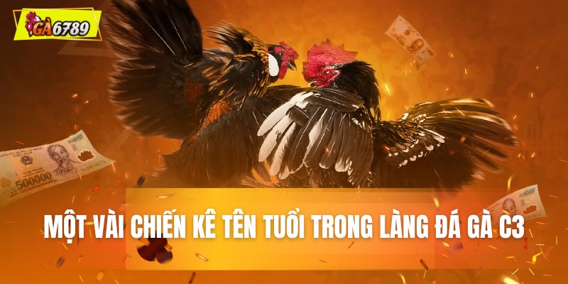 Một vài chiến kê tên tuổi trong làng đá gà C3 Một vài chiến kê tên tuổi trong làng đá gà C3