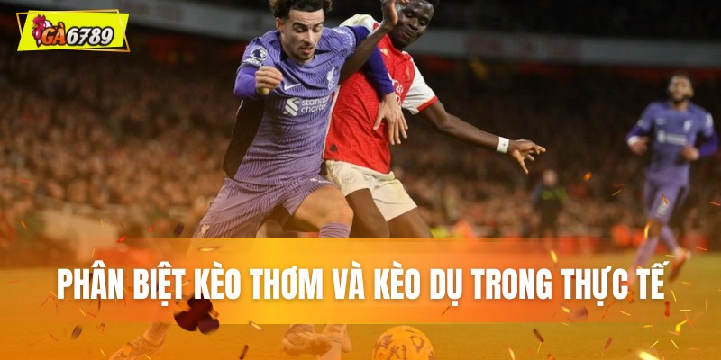 Phân biệt kèo thơm và kèo dụ trong thực tế Phân biệt kèo thơm và kèo dụ trong thực tế