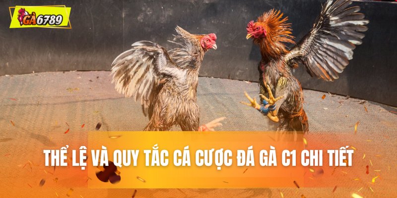 Thể lệ và quy tắc cá cược đá gà C1 chi tiết Thể lệ và quy tắc cá cược đá gà C1 chi tiết