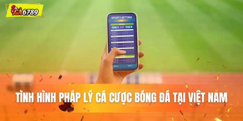 Tình hình pháp lý cá cược bóng đá tại Việt Nam Tình hình pháp lý cá cược bóng đá tại Việt Nam
